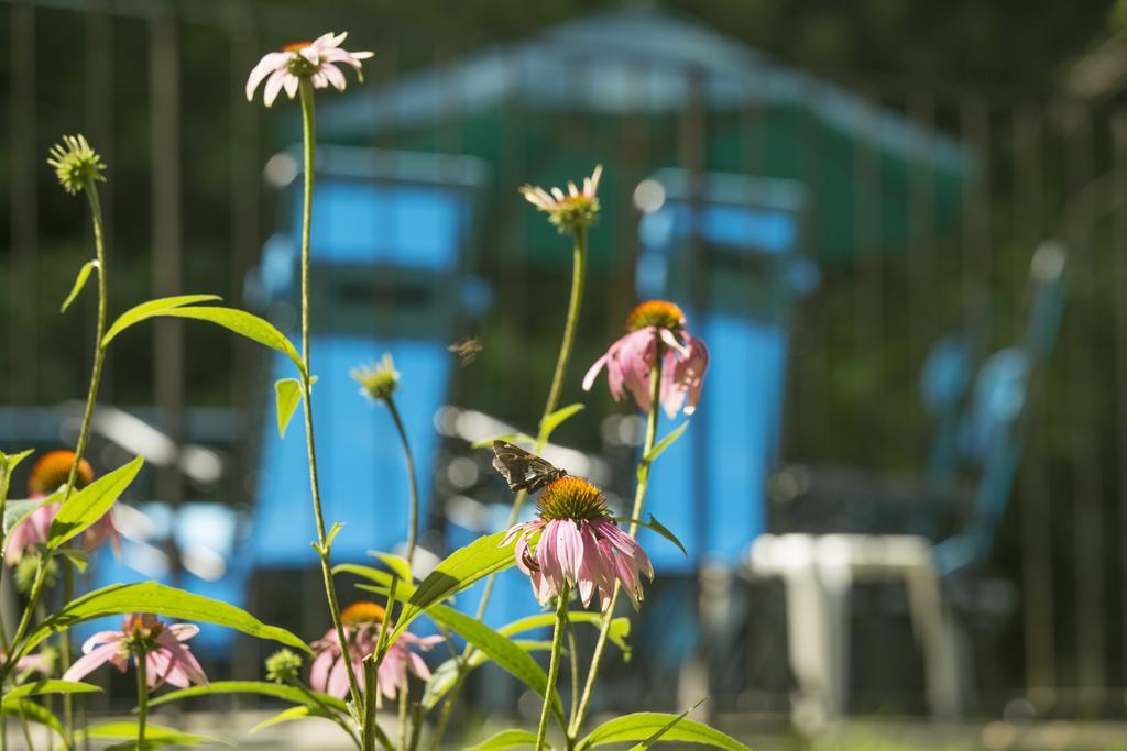 Brook Farm Inn 레녹스 외부 사진